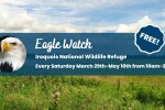 eagle watch at iroquois national wildlife refuge