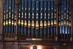 Organ pipes