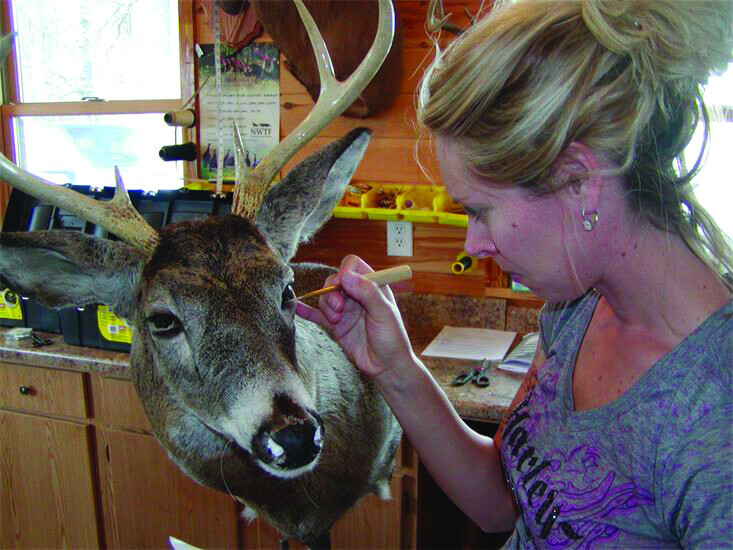 Andersons Whitetail Taxidermy School